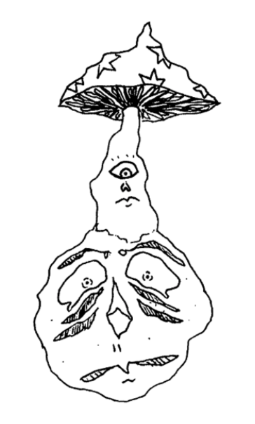 fuckin mushrooms man!!!