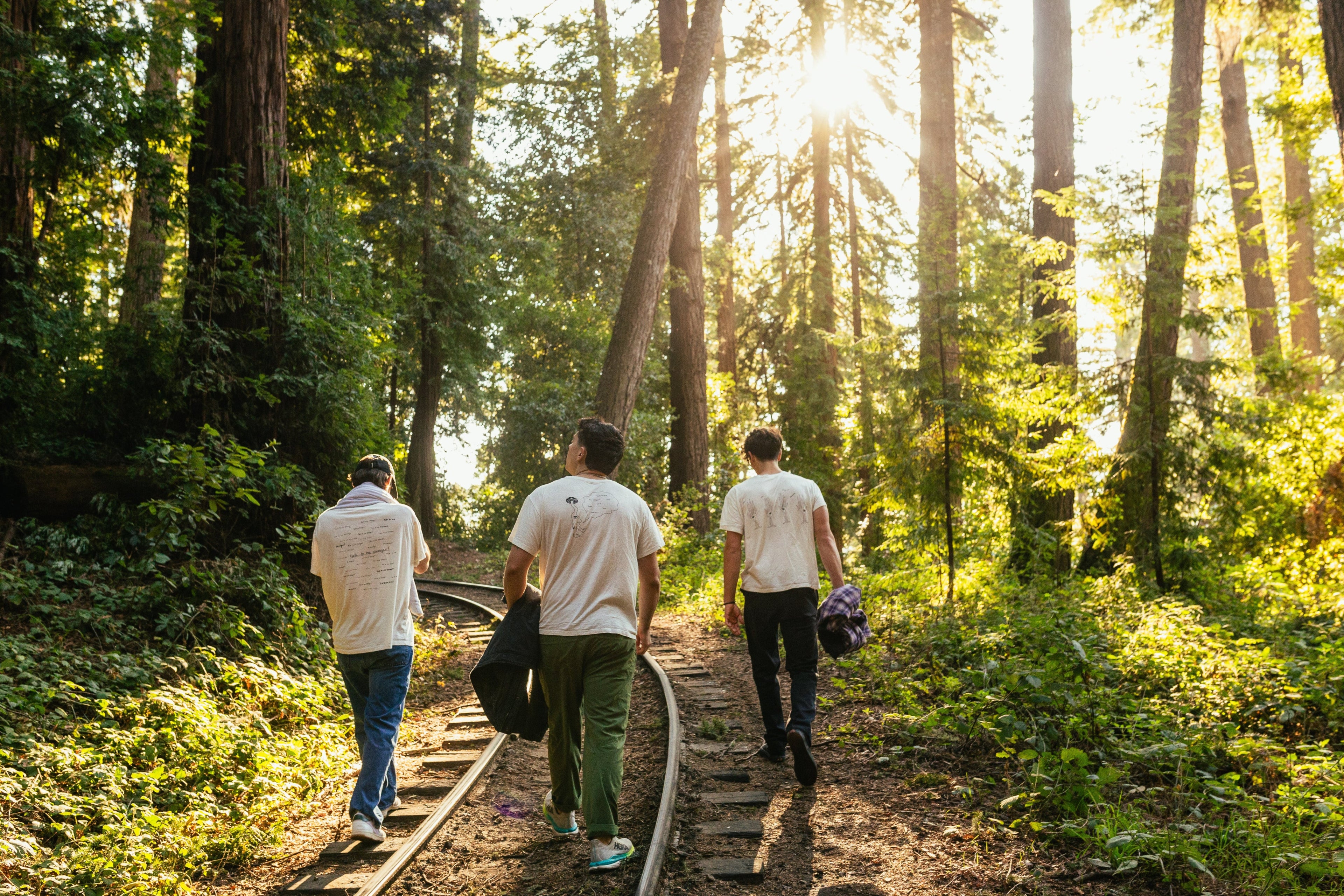 Three people walking along a railway track through a forest with sunlight filtering through the trees.