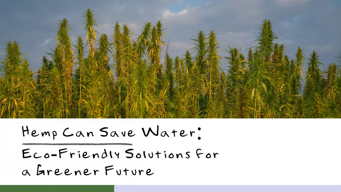 How Hemp Can Save Water, Soil, and Style