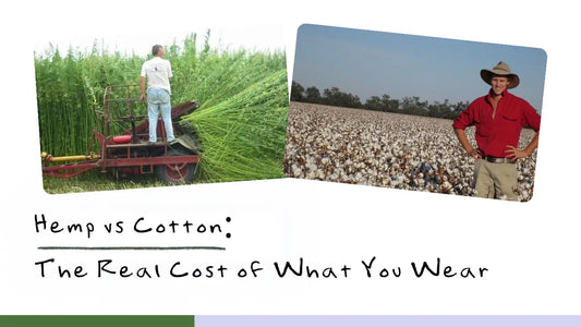 Hemp vs Cotton: The Real Cost of What You Wear