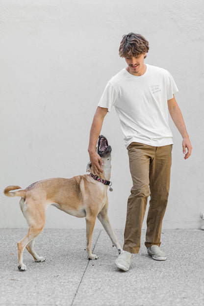 if dogs run free, why cant we?