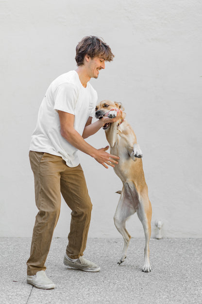 if dogs run free, why cant we?